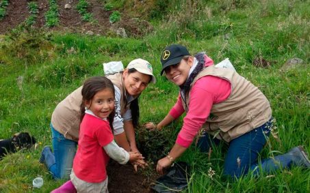Una de las metas es sembrar 600 mil árboles Una de las metas es sembrar 600 mil árboles