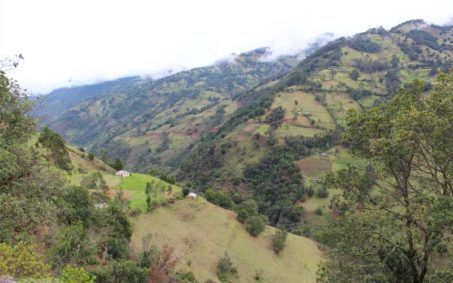 desarrollo sostenible fundacion natura colombia desarrollo sostenible fundacion natura colombia