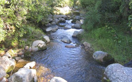 Quebrada El Ramo Quebrada El Ramo