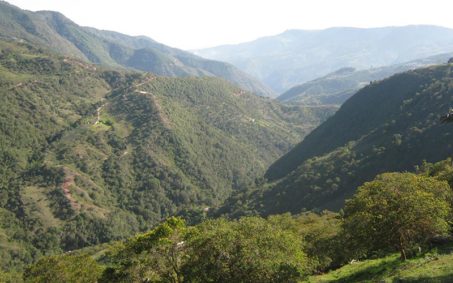 proyecto-car-natura proyecto-car-natura