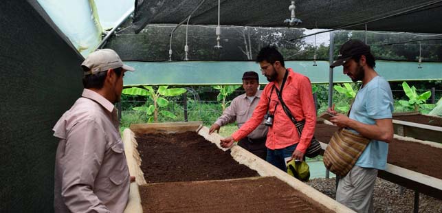 Plan Piloto De Restauración En El Quimbo Haría Alianzas Con Jardínes Botánicos
