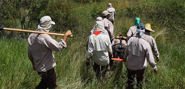 Personal De Fundación Natura Aprende A Mitigar Incendios En área De Restauración Del Bosque Seco