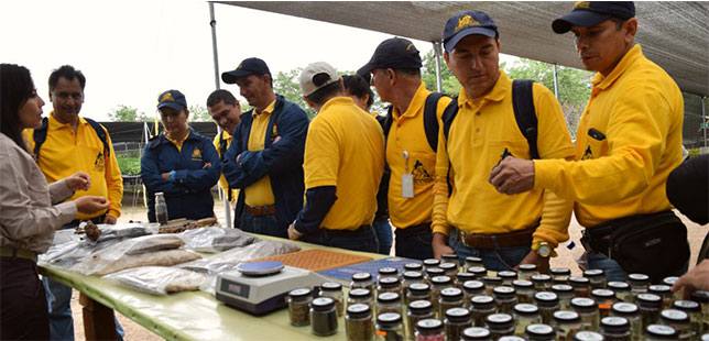 Cafeteros Para La Web