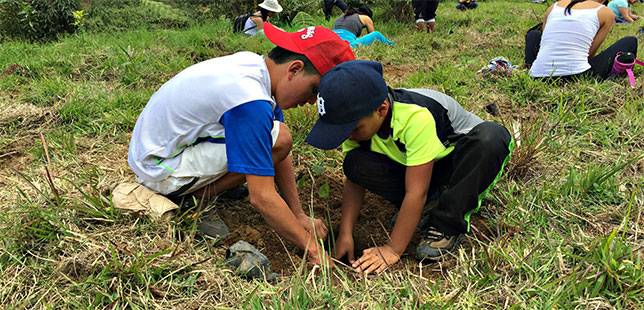 Campaña ‘Regala Un Árbol’ Sembró 99 árboles Durante El 2016