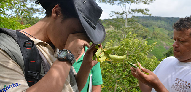 Convenio Con ICA Aumentará Precisión De Investigaciones En Proyecto Que Hace Monitoreo Agronómico Y Climático En Santander