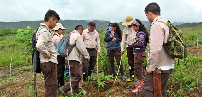 En El Quimbo, Ya Están Monitoreando Las Siembras Y Otras Estrategias Para La Restauración Del Bosque Seco
