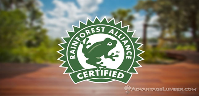 Rainforest Alliance Y UTZ Se Fusionarán Para Formar Una Organización Más Fuerte