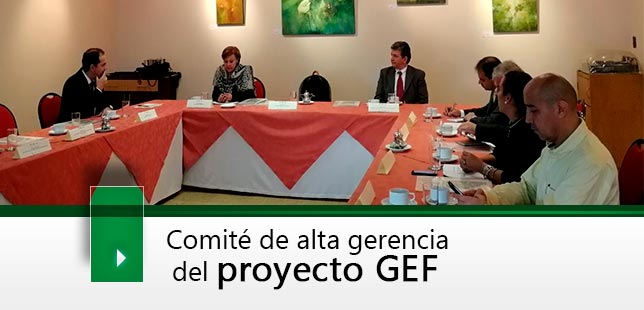 Comité De Alta Gerencia Del Proyecto GEF: ¨Manejo Sostenible Y Conservación De La Biodiversidad Acuática En La Cuenca Magdalena – Cauca¨