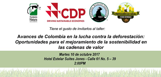 “Avances De Colombia En La Lucha Contra La Deforestación: Oportunidades Para El Mejoramiento De La Sostenibilidad En Las Cadenas De Valor”