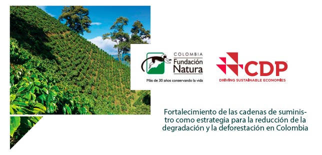 Fortalecimiento De Las Cadenas De Suministro Como Estrategia Para La Reducción De La Degradación Y La Deforestación En Colombia