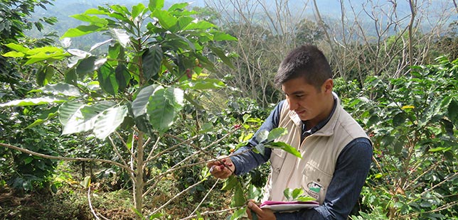 Continúa Monitoreo Agronómico En Zona De Influencia Del Embalse Topocoro