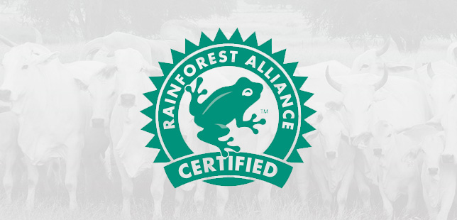 Primera Certificación Rainforest Alliance A Ganadería Sostenible En Colombia