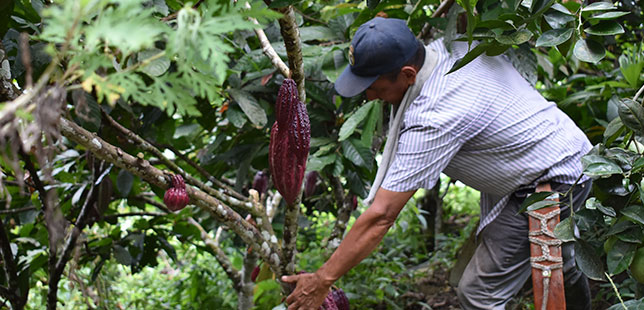 Agricultores Se Preparan Para El Fenómeno De La Niña