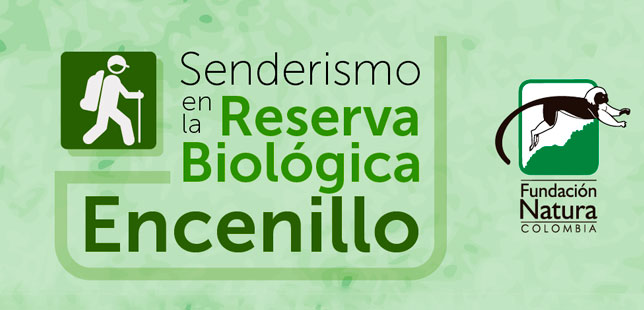 Senderismo, El Mejor Plan Para Los Amantes De Las Actividades Al Aire Libre