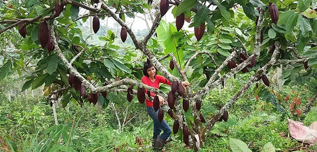“No Soy Mujer Rural, Soy Una Mujer Campesina”