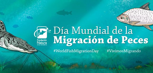 “Encuentro De Saberes Para La Defensa De Nuestros Ríos Y Sus Peces Migratorios”