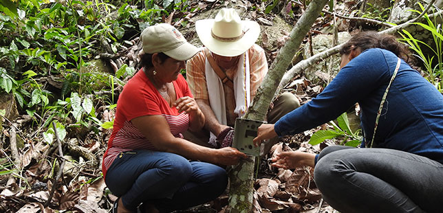 Continúa El Monitoreo De Fauna En Cultivos Del área De Influencia Del Embalse Topocoro En Santander