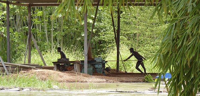 El Pacifico Colombiano Ya Cuenta Con Un Portafolio De Medidas Para Controlar La Deforestación Y La Degradación De Los Bosques