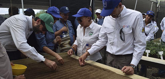 Con éxito Termina Plan Piloto De Restauración De Bosque Seco Tropical, En El Huila