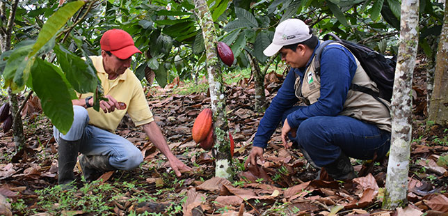Agricultores De Santander Conocen Información Sobre Posible Llegada De “El Niño”