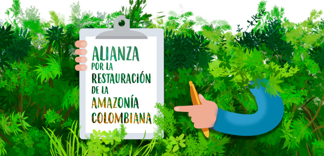 Alianza Por La Restauración De La Amazonía Colombiana