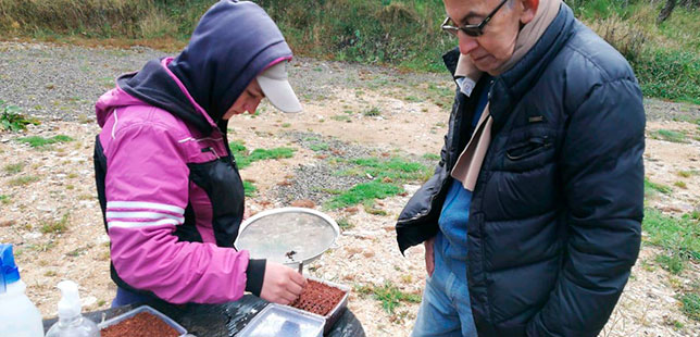 Generando Conocimiento Sobre Especies Nativas De Ecosistemas Altoandinos