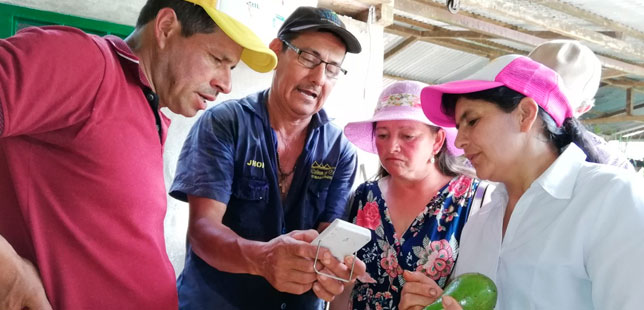 Agricultores De Santander Son Ejemplo En Procesos De Monitoreo Climático