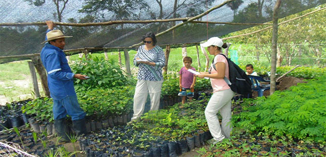 tercera-boletin-web